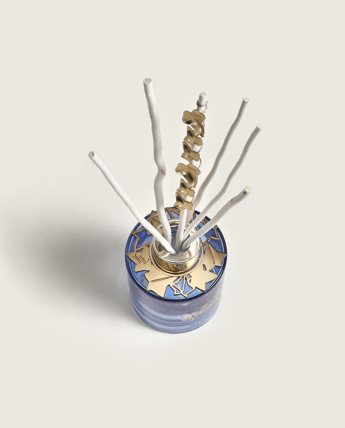 Lampe Berger Bouquet Bijou Parfumé Lolita Lempicka Parme