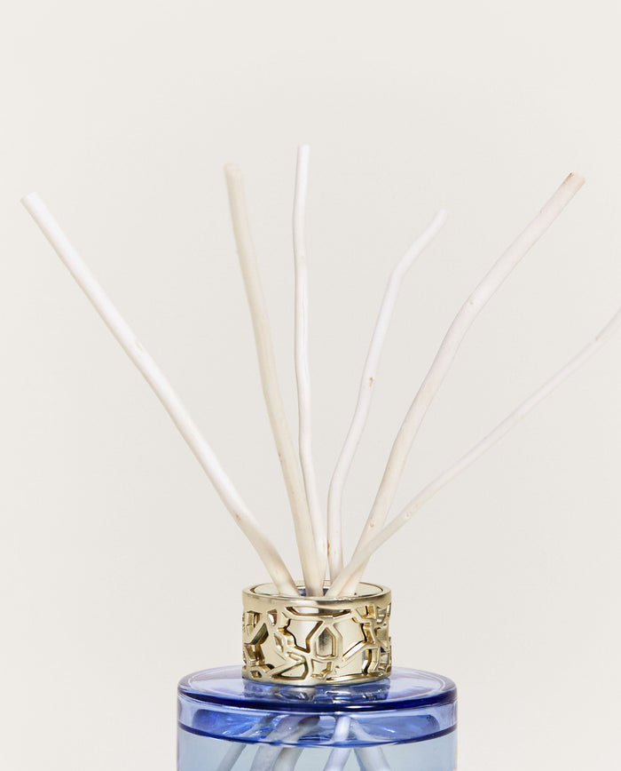 Lampe Berger Duo Mini Bouquet & Bougie Lolita Lempicka Parme