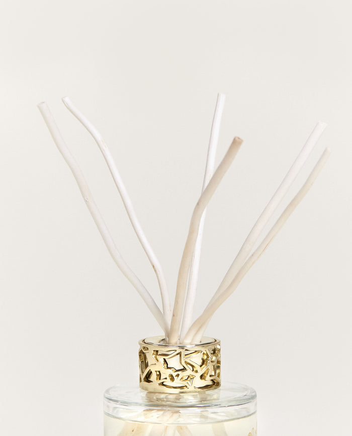 Lampe Berger Duo Mini Bouquet & Bougie Lolita Lempicka Transparent