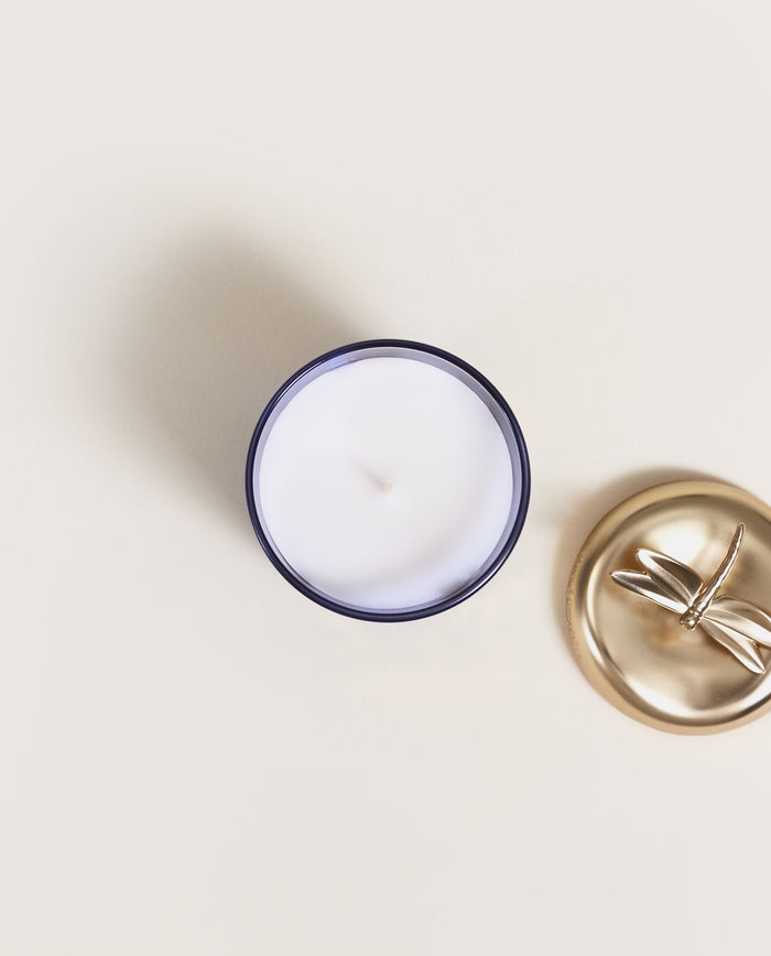 Lampe Berger Bougie Parfumée Lolita Lempicka Parme