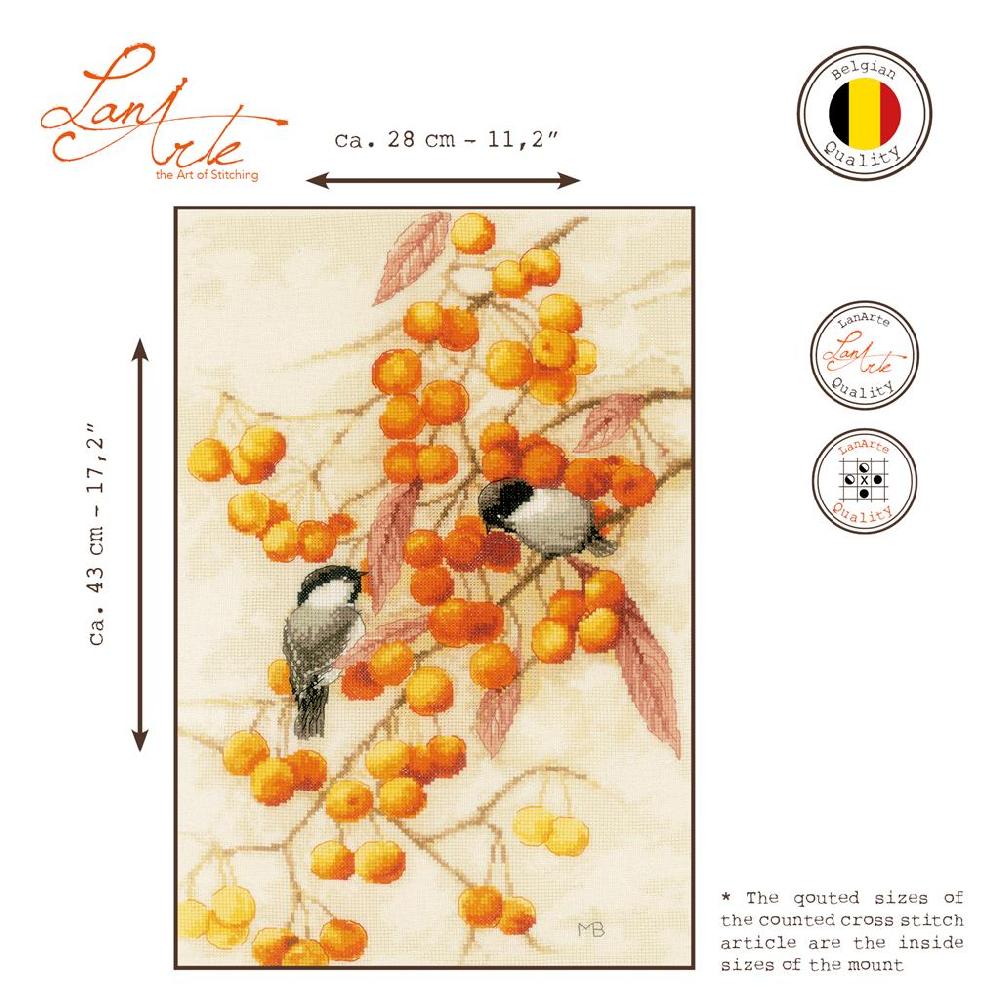 Lanarte Kit Au Point Compté Petite Fête De L'orange