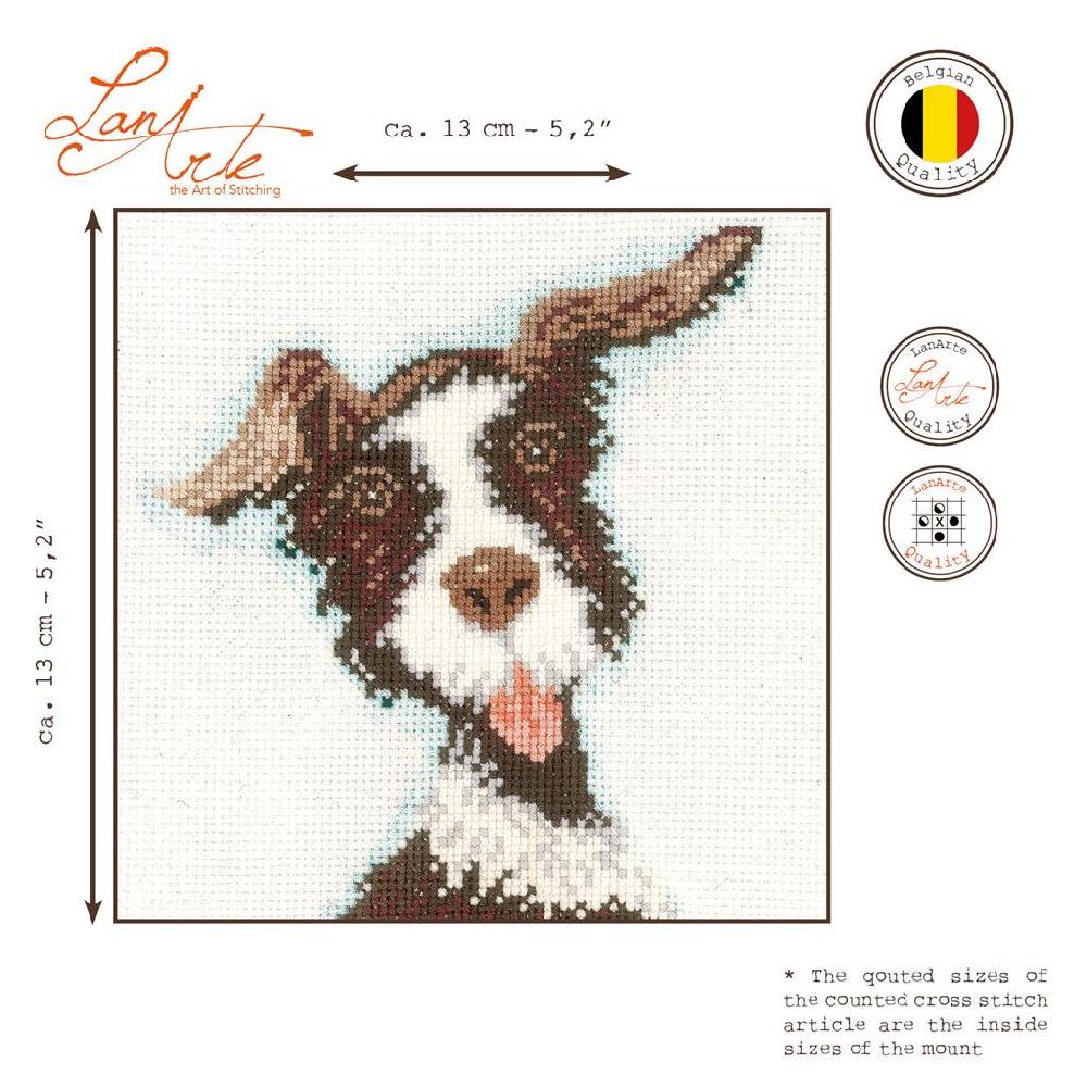 Lanarte Kit Au Point Compté Buster