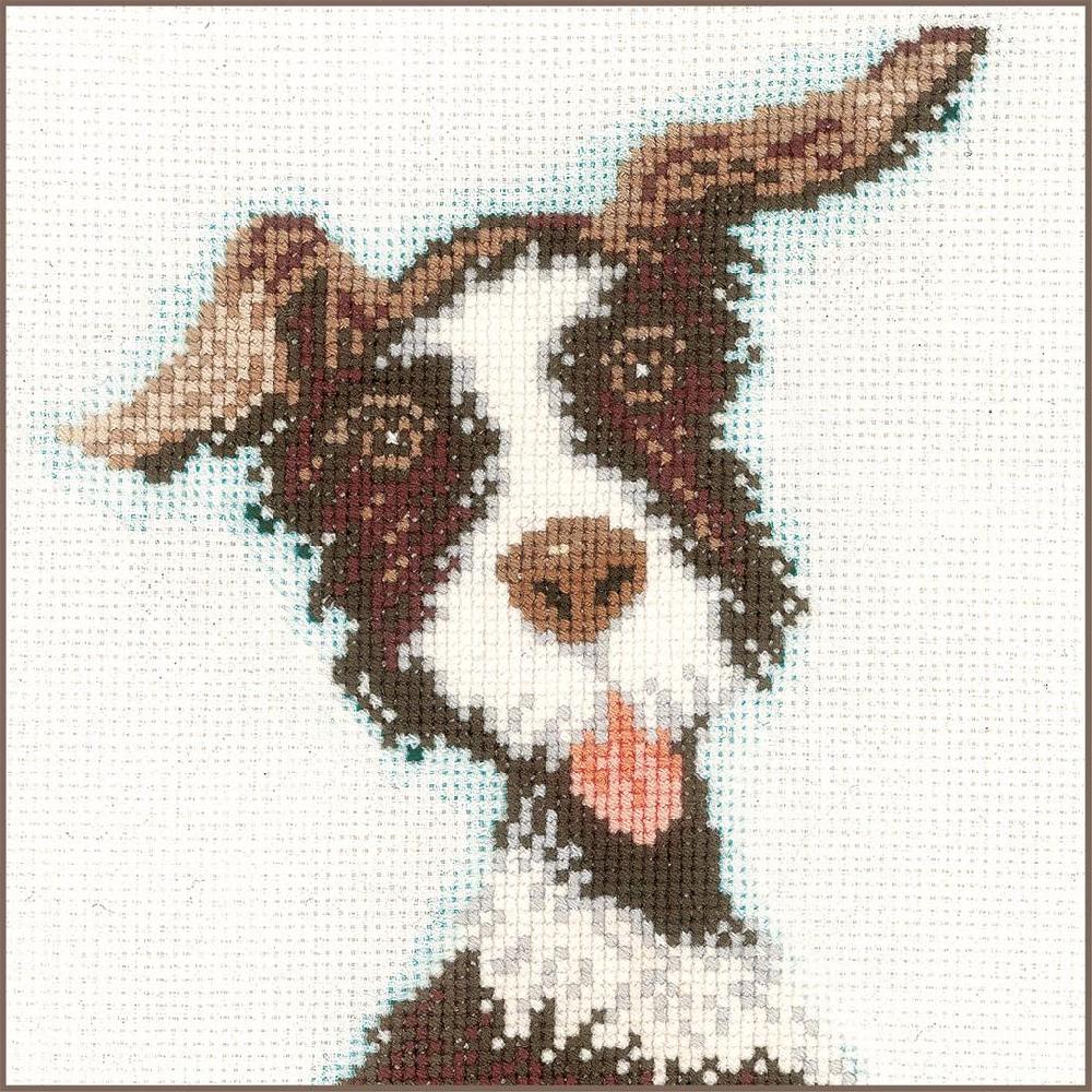 lanarte Kit au point compté Buster