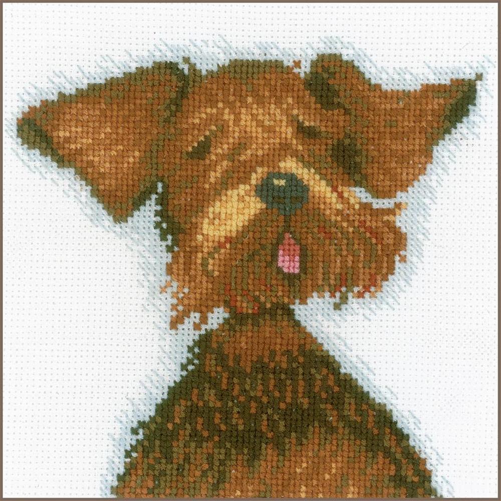 lanarte Kit au point compté General