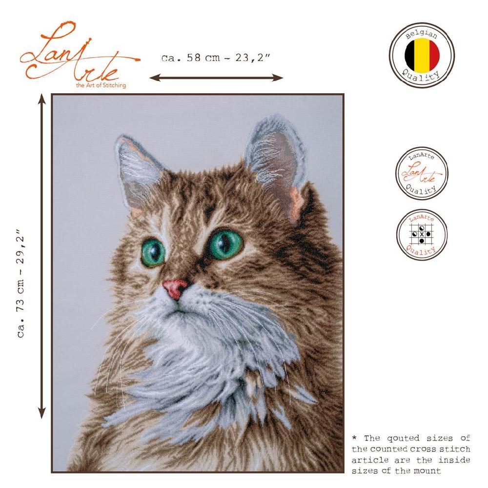 Lanarte Kit Au Point Compté Le Regard Parfait