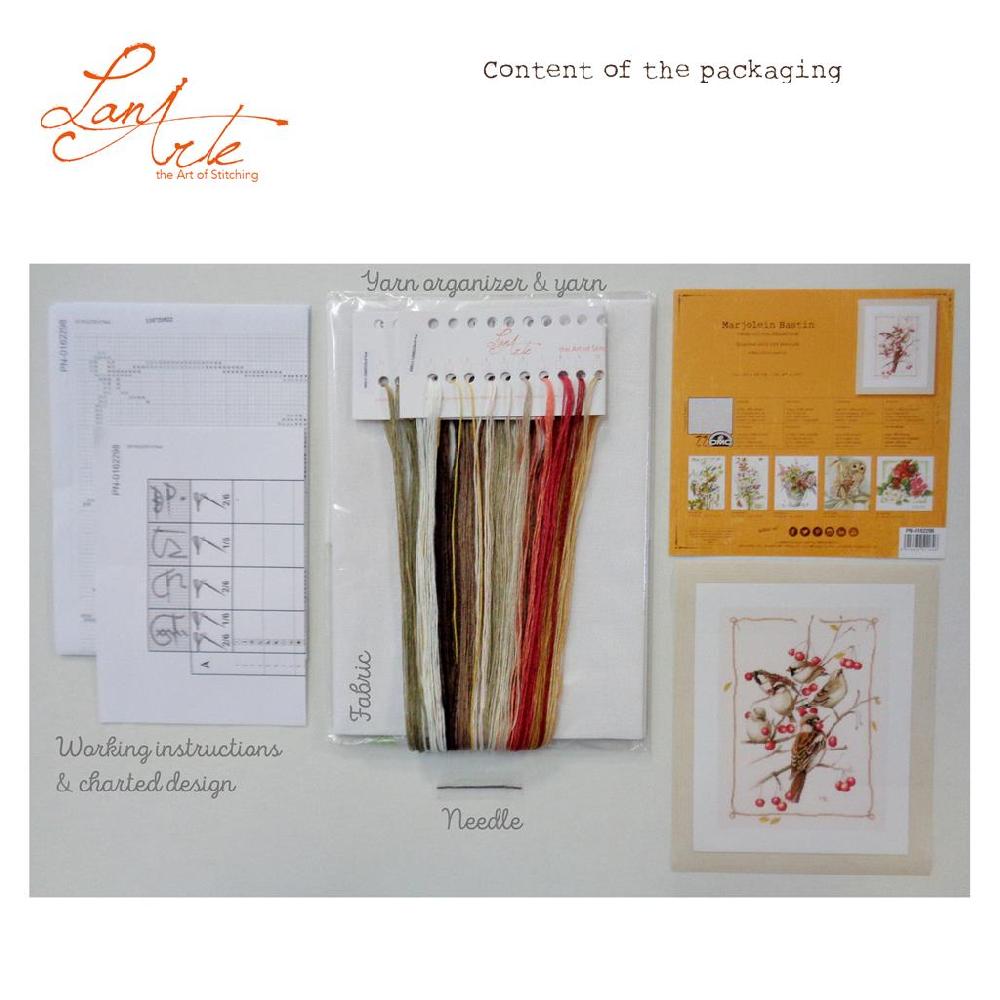 Lanarte Kit Au Point Compté Moineaux