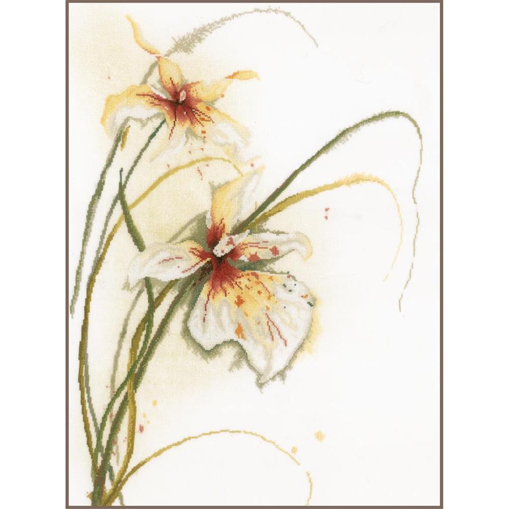 lanarte Kit au point compté Orchidée