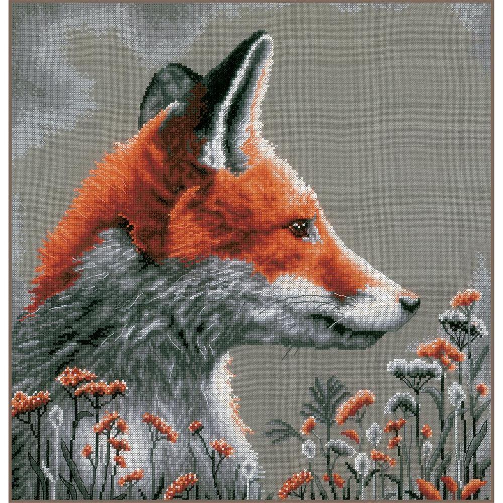 lanarte Kit au point compté Regarder dans la nuit