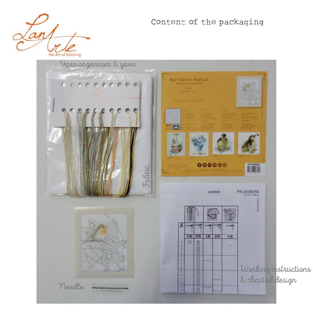 Lanarte Kit Au Point Compté Robin