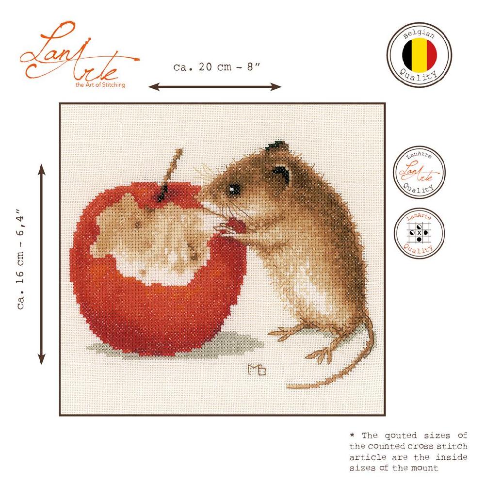 Lanarte Kit Au Point Compté Souris