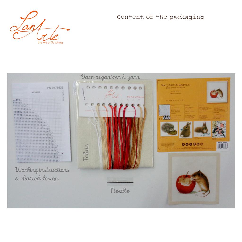 Lanarte Kit Au Point Compté Souris