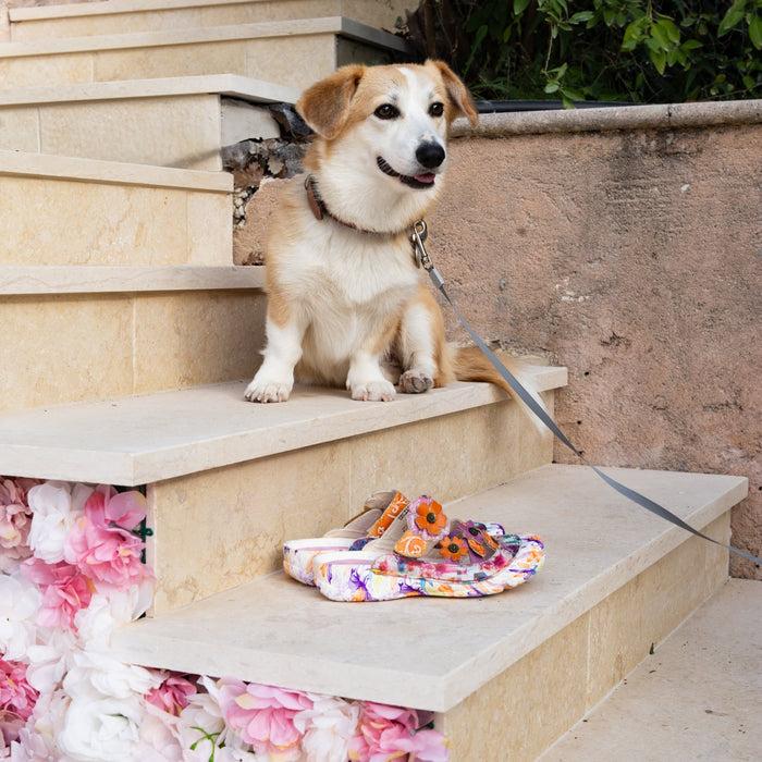 Laura Vita Sabots - BECZIERSO 89