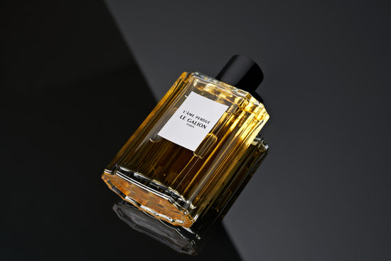 Le Galion L’ÂME PERDUE Incredible Emotion Poured Into Superb Femininity