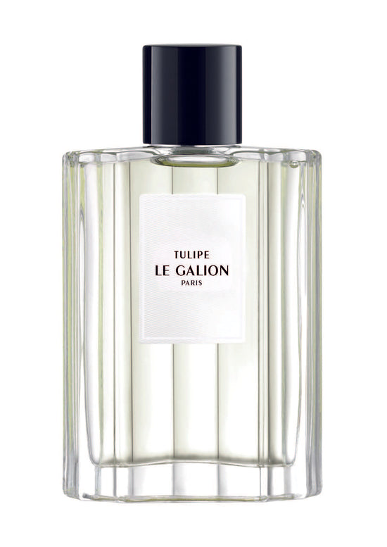 le galion TULIPE An aura to break even the most composed of manners