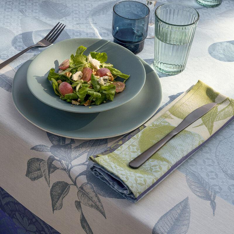 le jacquard français Serviette de table Arrière-pays Coton