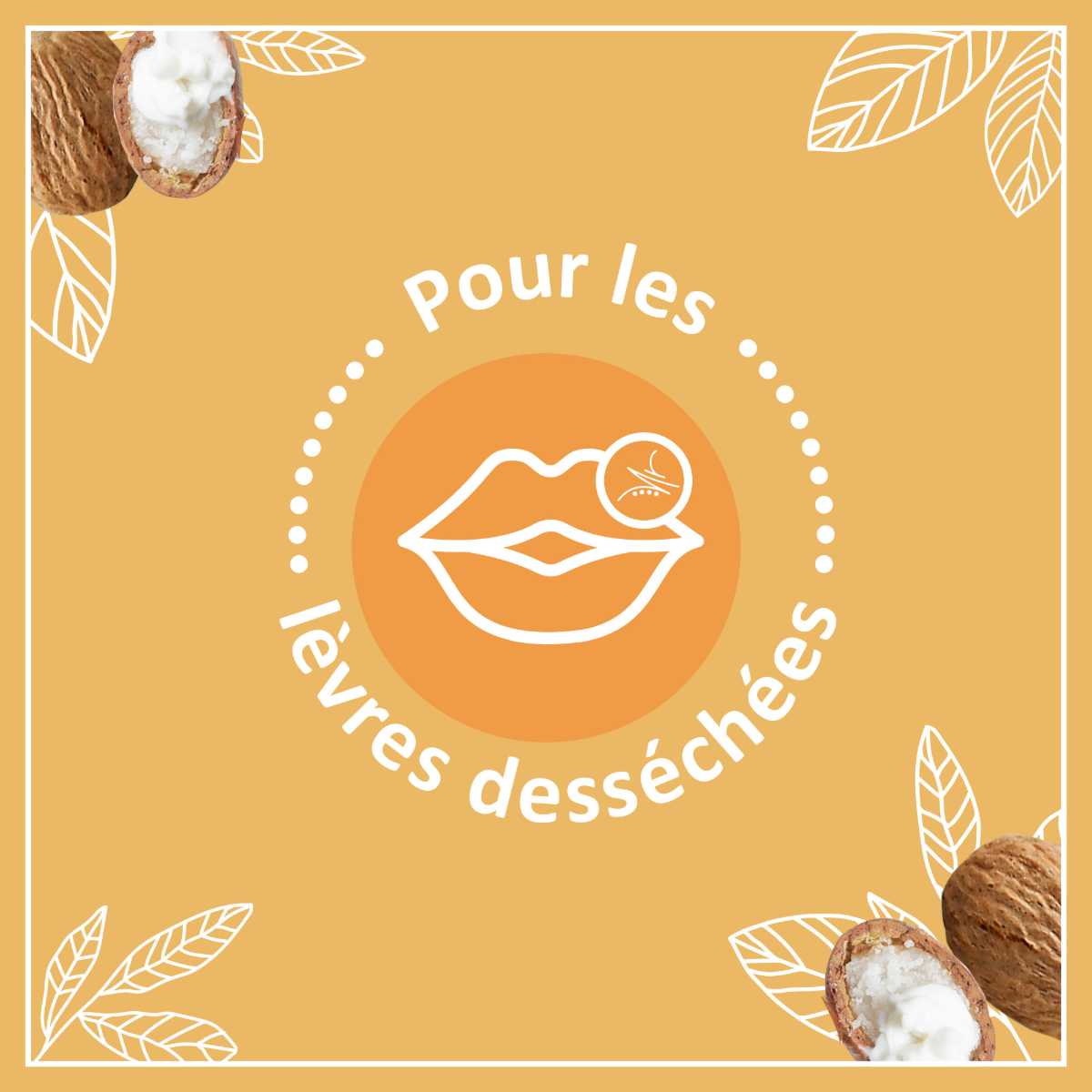 Le Petit Marseillais Soin Lèvres Nutrition Lèvres Desséchées