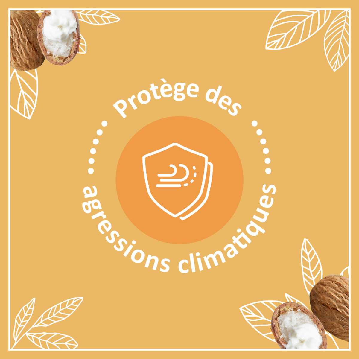 Le Petit Marseillais Soin Lèvres Nutrition Lèvres Desséchées