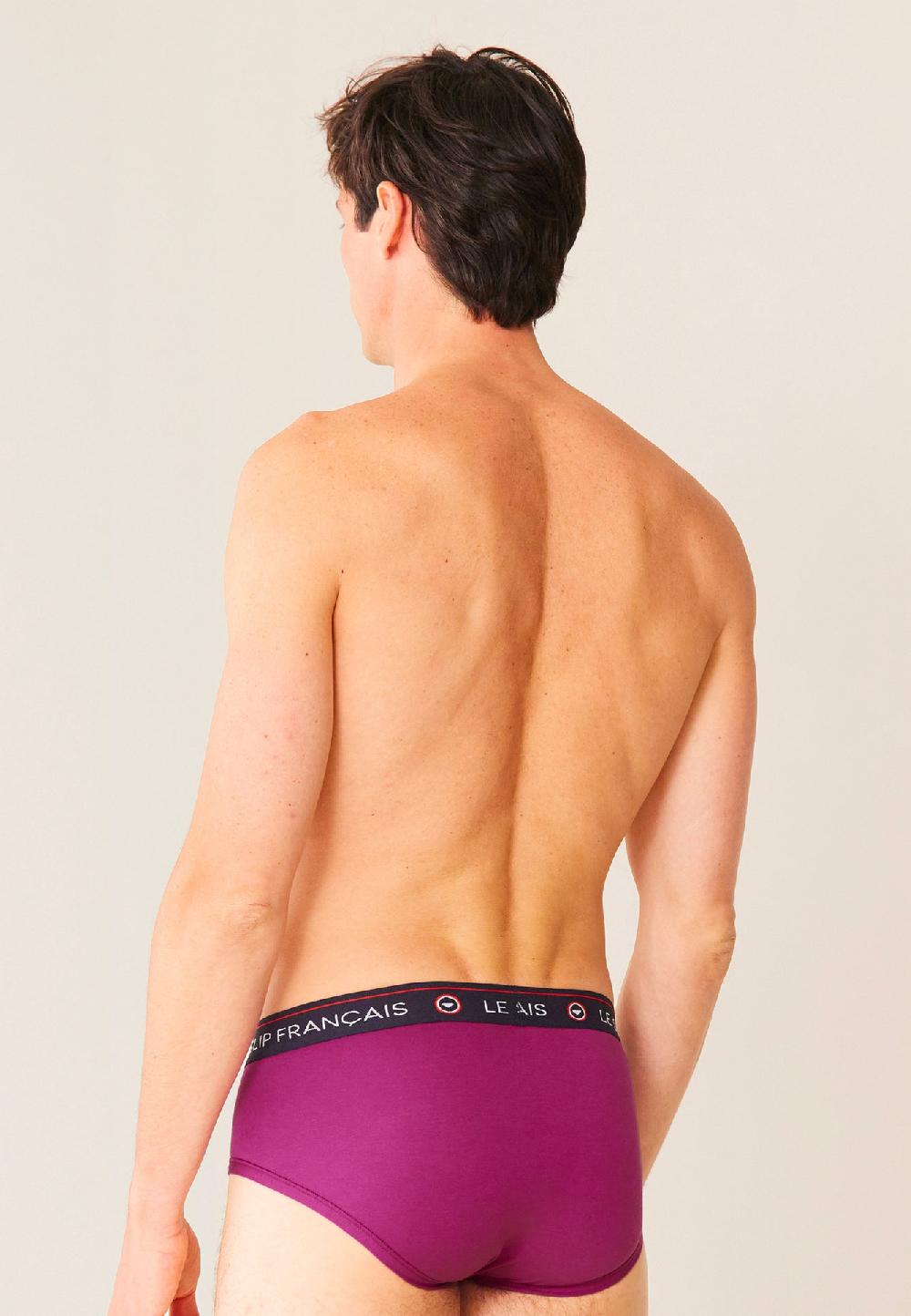 Le Slip Français Slip En Coton Intrépide Betterave