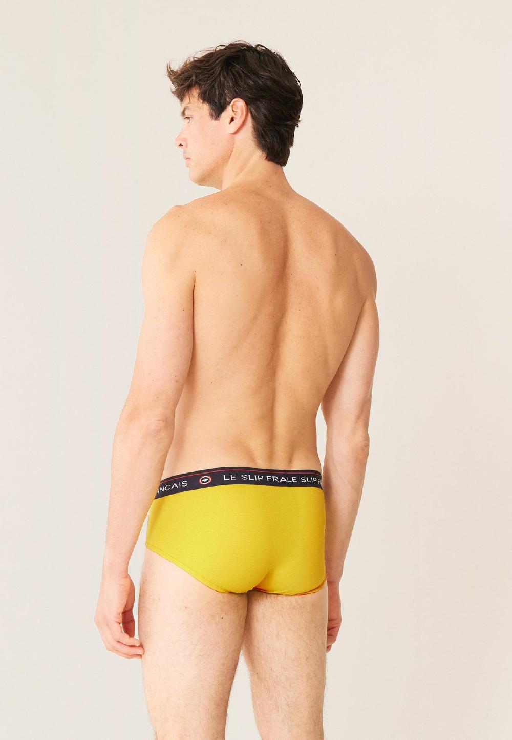 Le Slip Français Slip En Coton Intrépide Cire