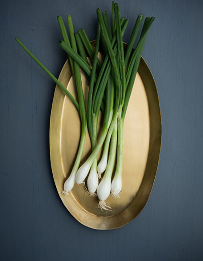 Les Choses Simples Plateau En Laiton Taille M