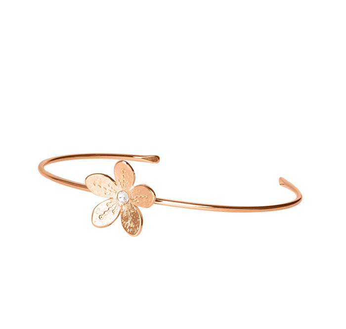 les interchangeables Jonc cherry