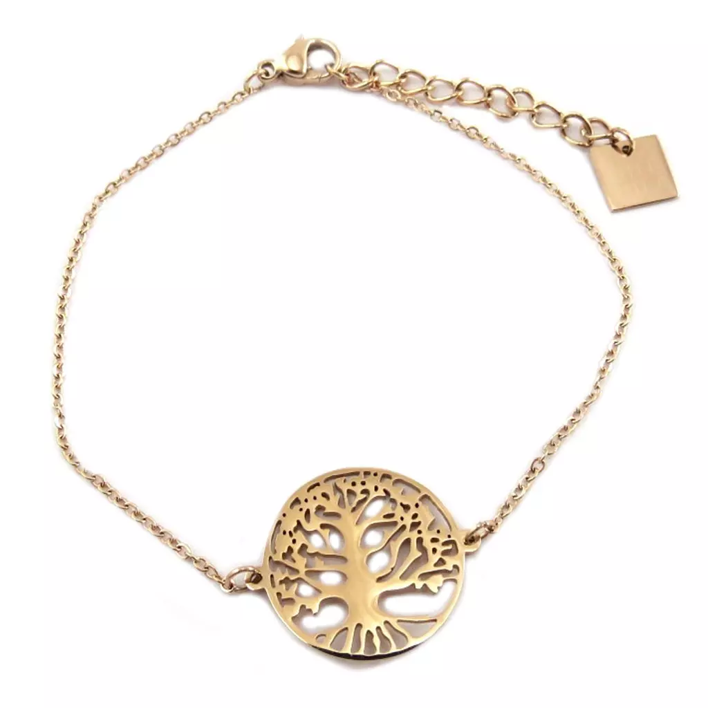 les trésors de lily Bracelet acier 'Arbre de Vie' doré rosé 16 mm [P7713]