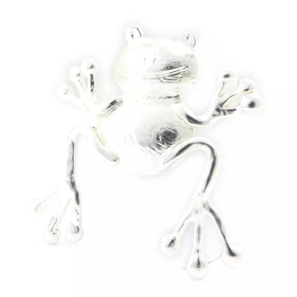 Les Trésors De Lily Broche Créateur 'Grenouille' Argenté [K4114]