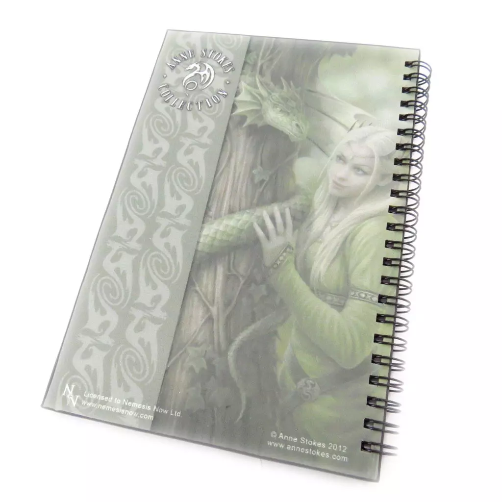 Les Trésors De Lily Carnet à Spirales 'Fairy Dreams' Vert [J5595]