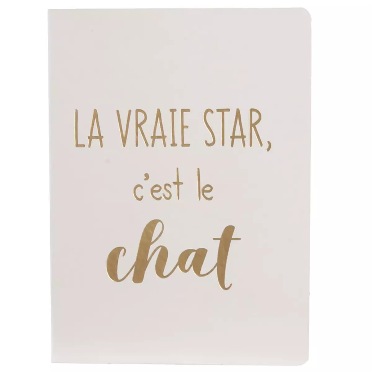 les trésors de lily Carnet A6 'Chats' blanc doré ('La vraie star c'est le chat') 15x115x05 cm [Q5432]