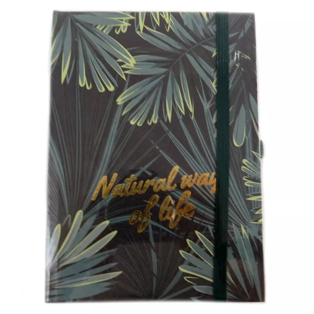 les trésors de lily Carnet A6 'Jungle' vert 15x11 cm [Q0625]