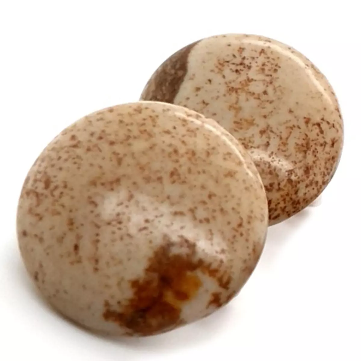 Les Trésors De Lily Clips Créateur 'Mineralia' Beige Jaspe 20 Mm [P5613]