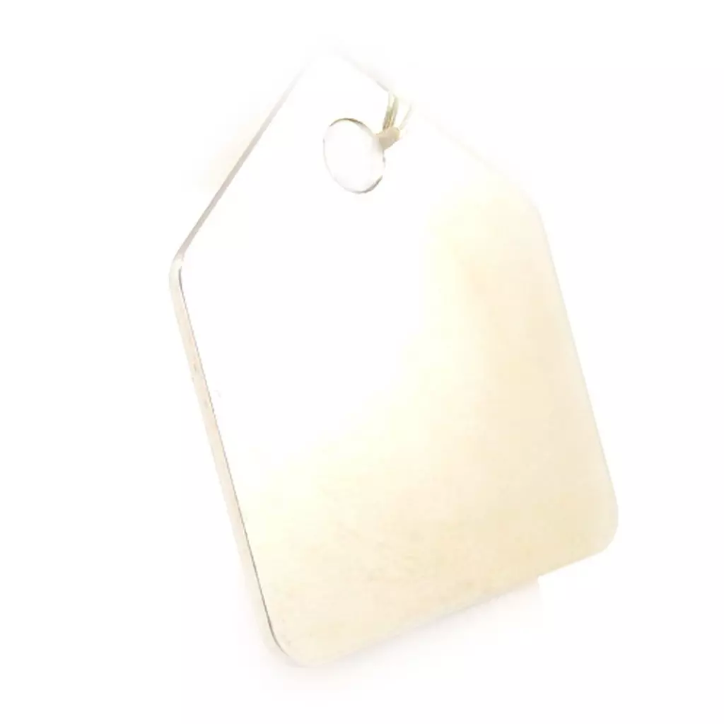 Les Trésors De Lily Médaille Animaux 'Carré' Argenté Nickelé [C2993]