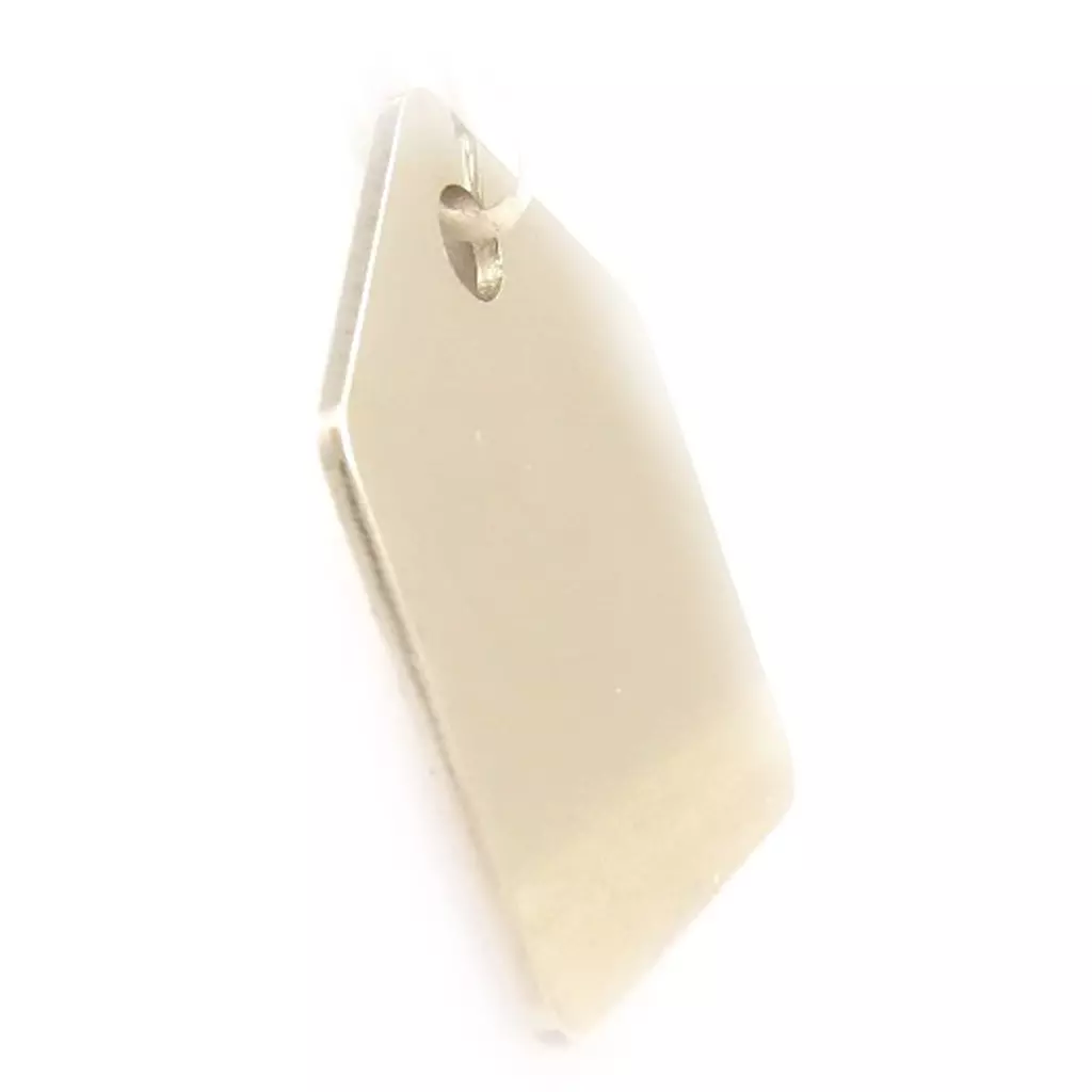 Les Trésors De Lily Médaille Animaux 'Carré' Argenté Nickelé [C2993]