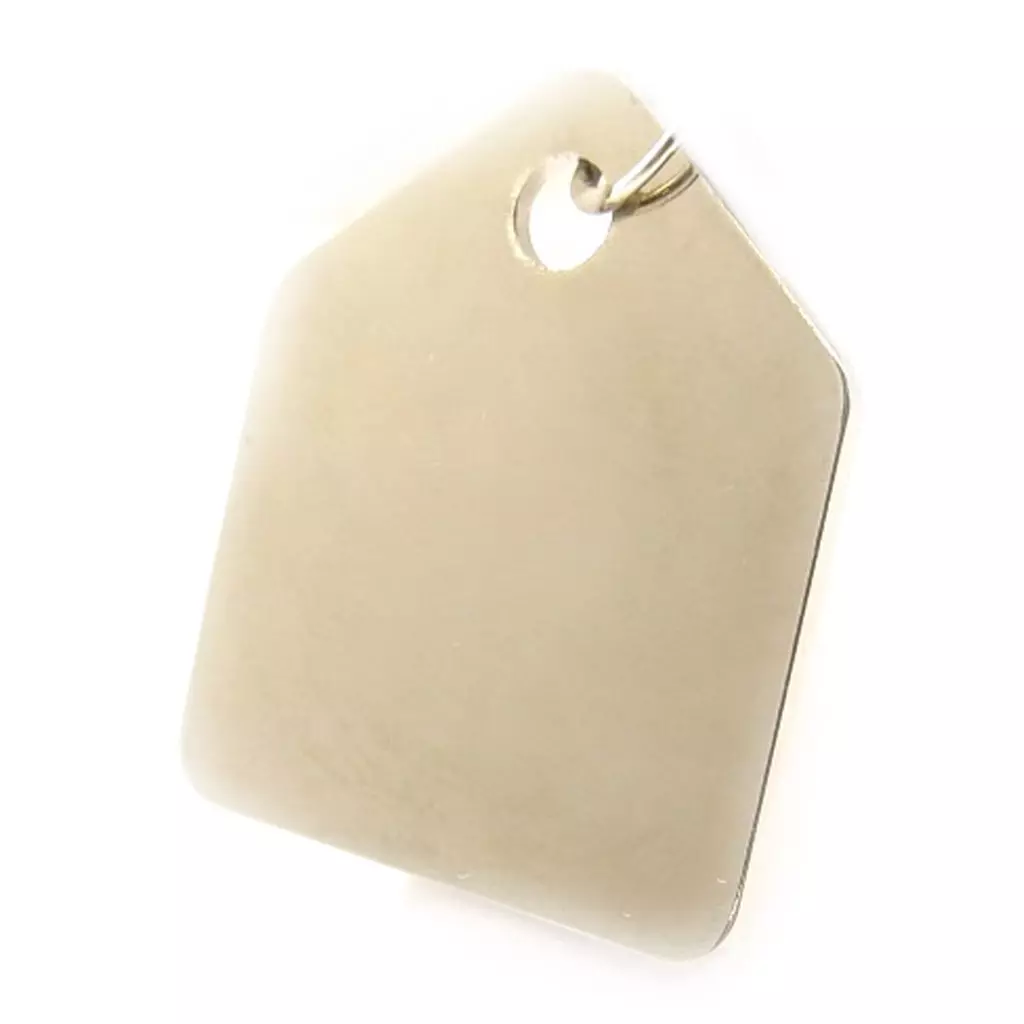 les trésors de lily Médaille Animaux 'Carré' Argenté Nickelé [C2993]