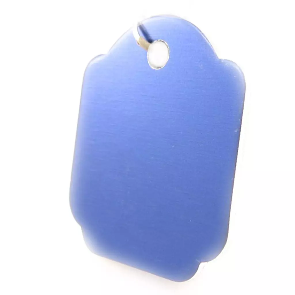 Les Trésors De Lily Médaille Animaux 'Carré' Bleu [C2998]