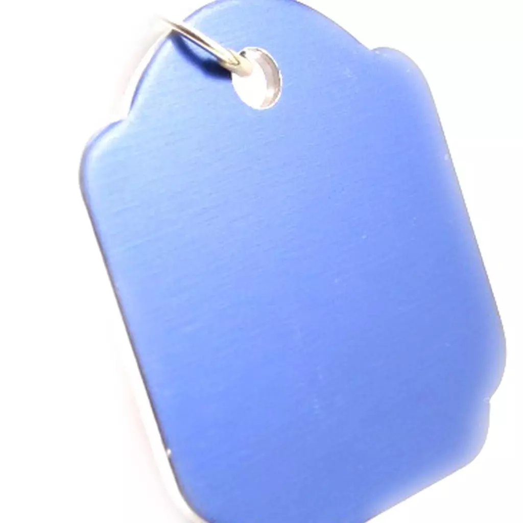 Les Trésors De Lily Médaille Animaux 'Carré' Bleu [C2998]