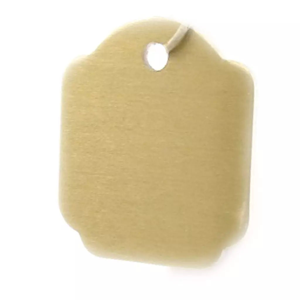 les trésors de lily Médaille Animaux 'Carré' Doré [C3135]