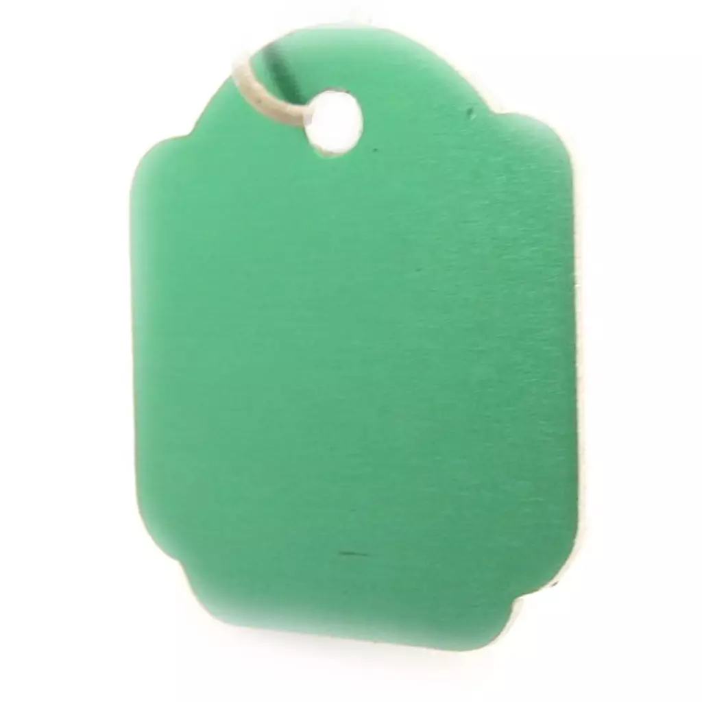 Les Trésors De Lily Médaille Animaux 'Carré' Vert [C3393]