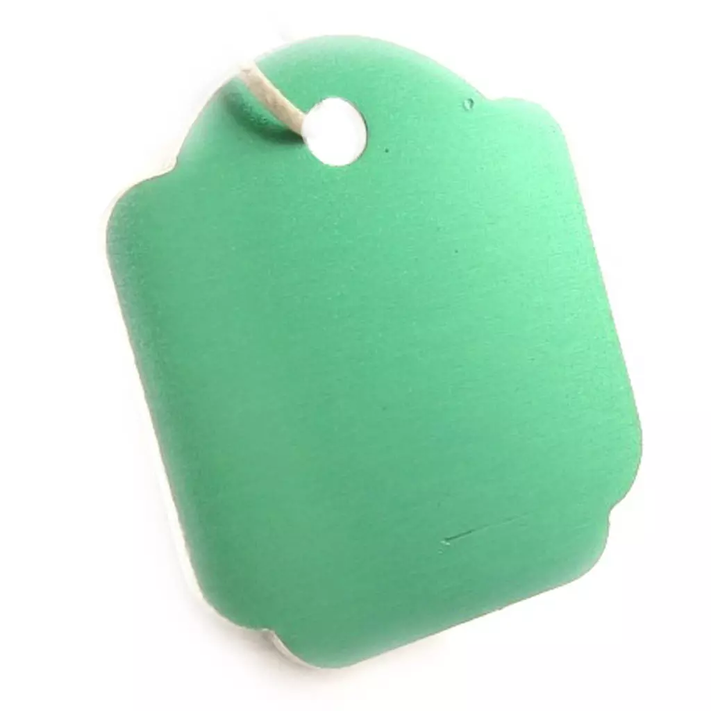 les trésors de lily Médaille Animaux 'Carré' Vert [C3393]