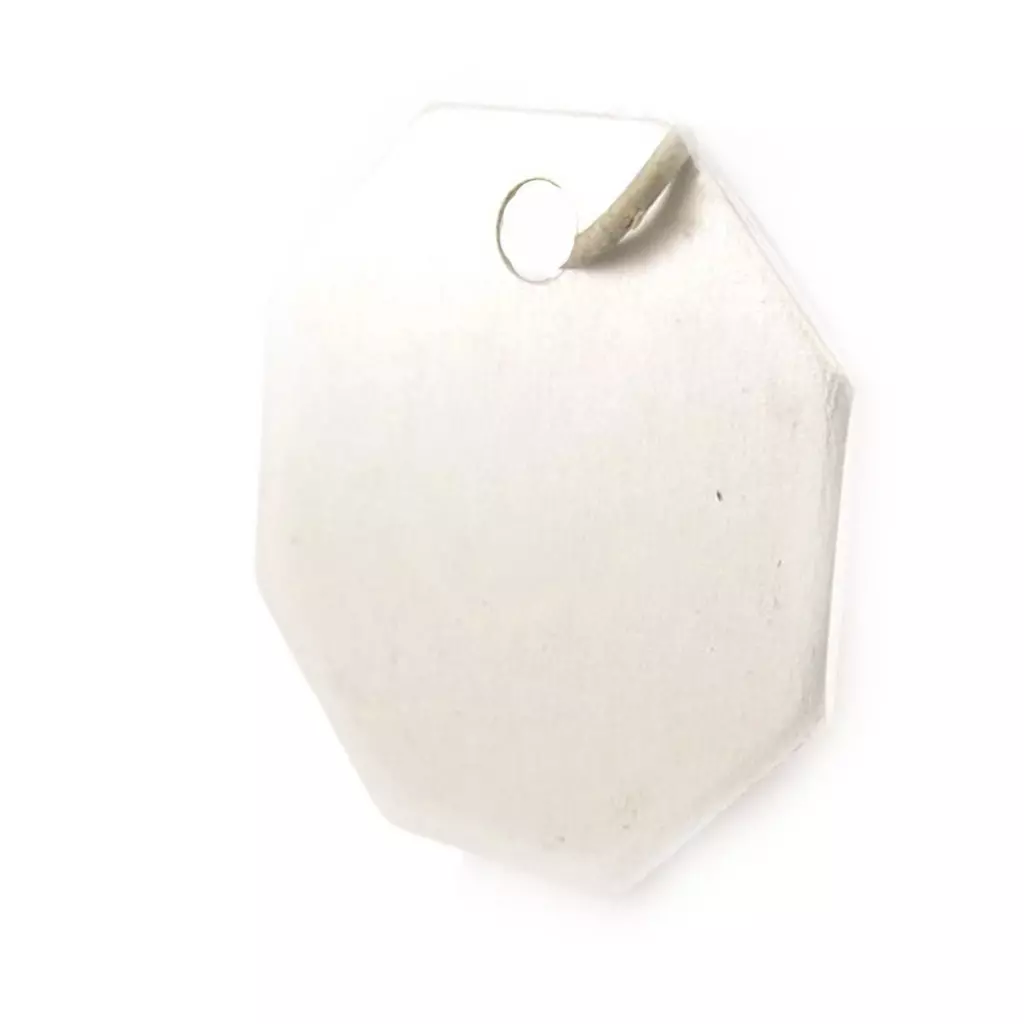 les trésors de lily Médaille Animaux 'Octogone' Argenté [C3726]