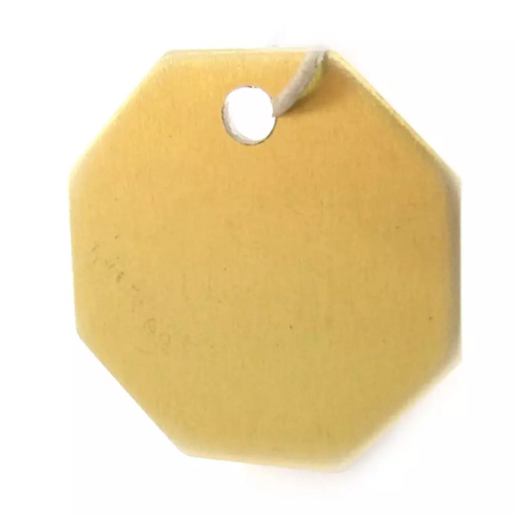 Les Trésors De Lily Médaille Animaux 'Octogone' Doré [C3724]