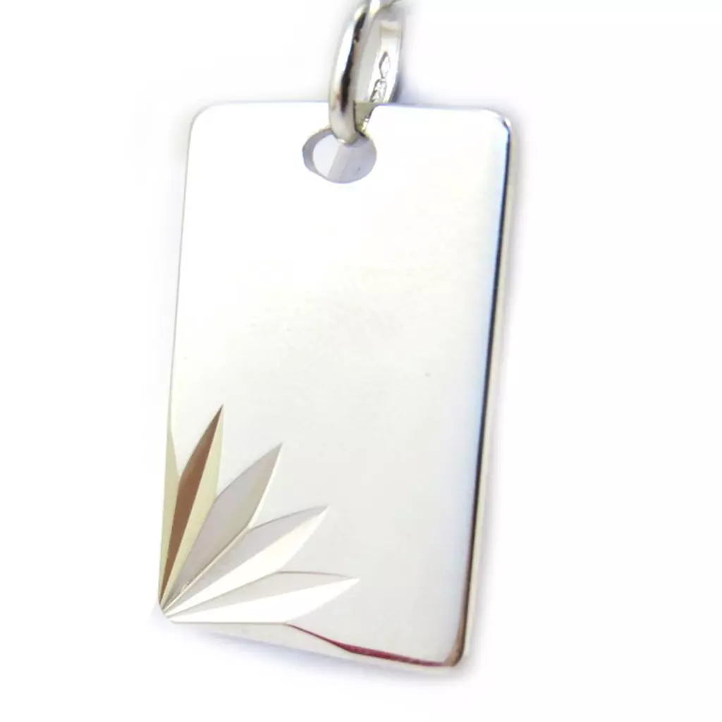 Les Trésors De Lily Médaille Argent 'Caesar' 30x16 Mm [M4959]