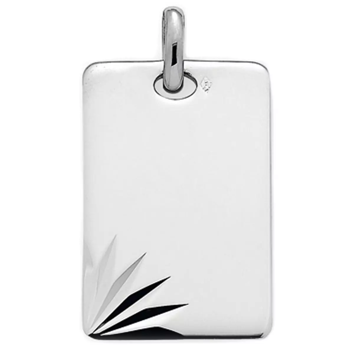 les trésors de lily Médaille argent 'Caesar' 30x16 mm [M4959]