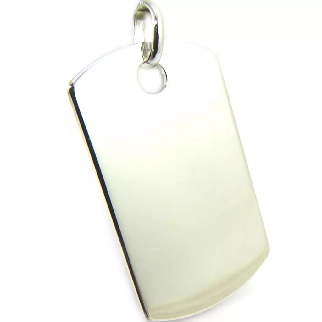 Les Trésors De Lily Médaille Argent 'Plaque Américaine' (3x18 Cm) [L6094]