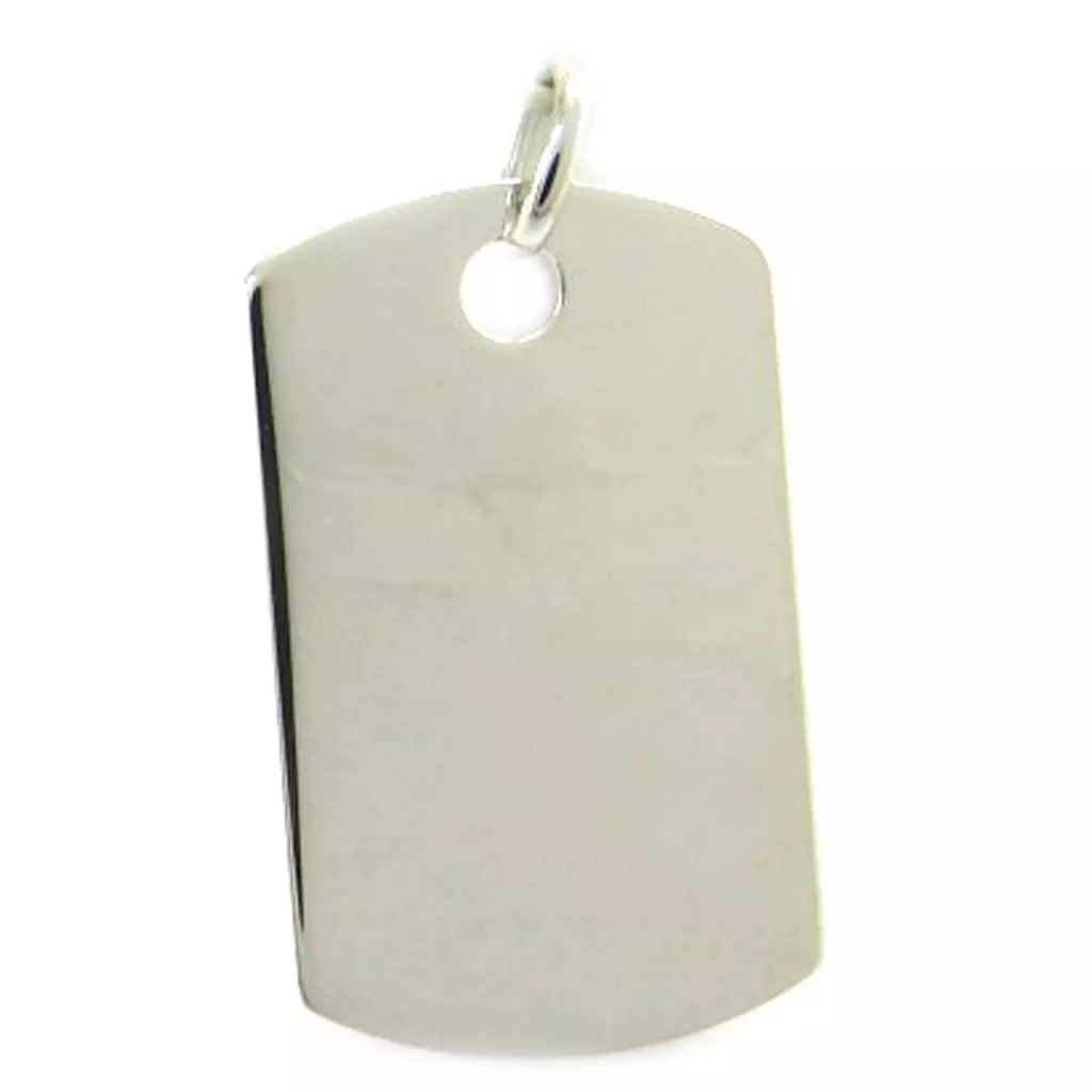 Les Trésors De Lily Médaille Argent 'Plaque Américaine' (3x18 Cm) [L6094]