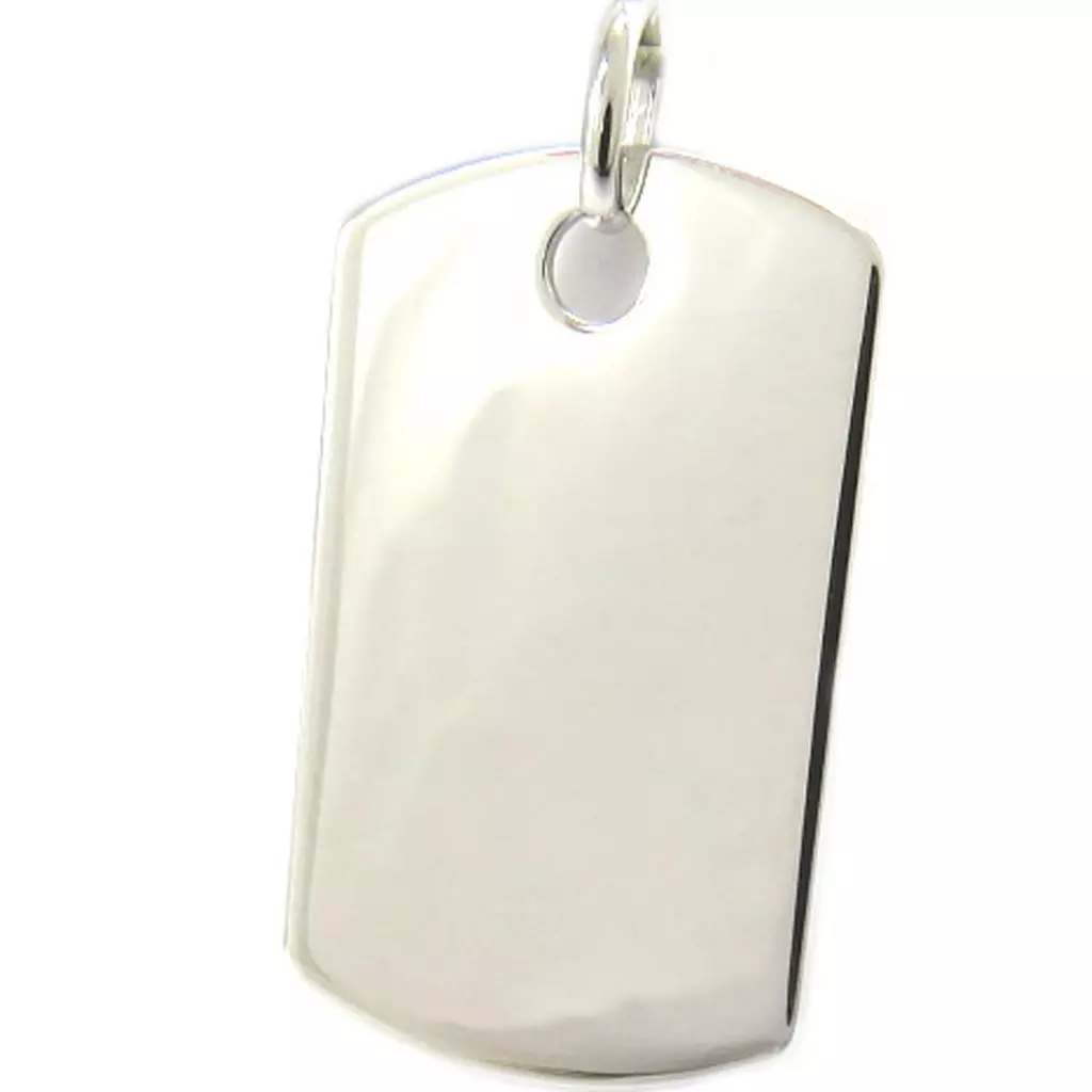 les trésors de lily Médaille argent 'Plaque Américaine' (3x18 cm) [L6094]