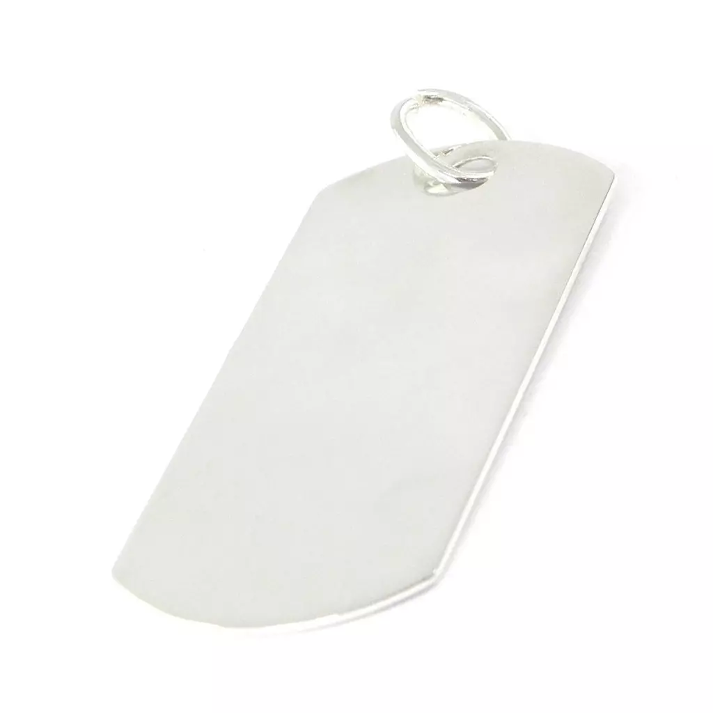 Les Trésors De Lily Médaille Argent 'Plaque Américaine' Vierge [F6304]