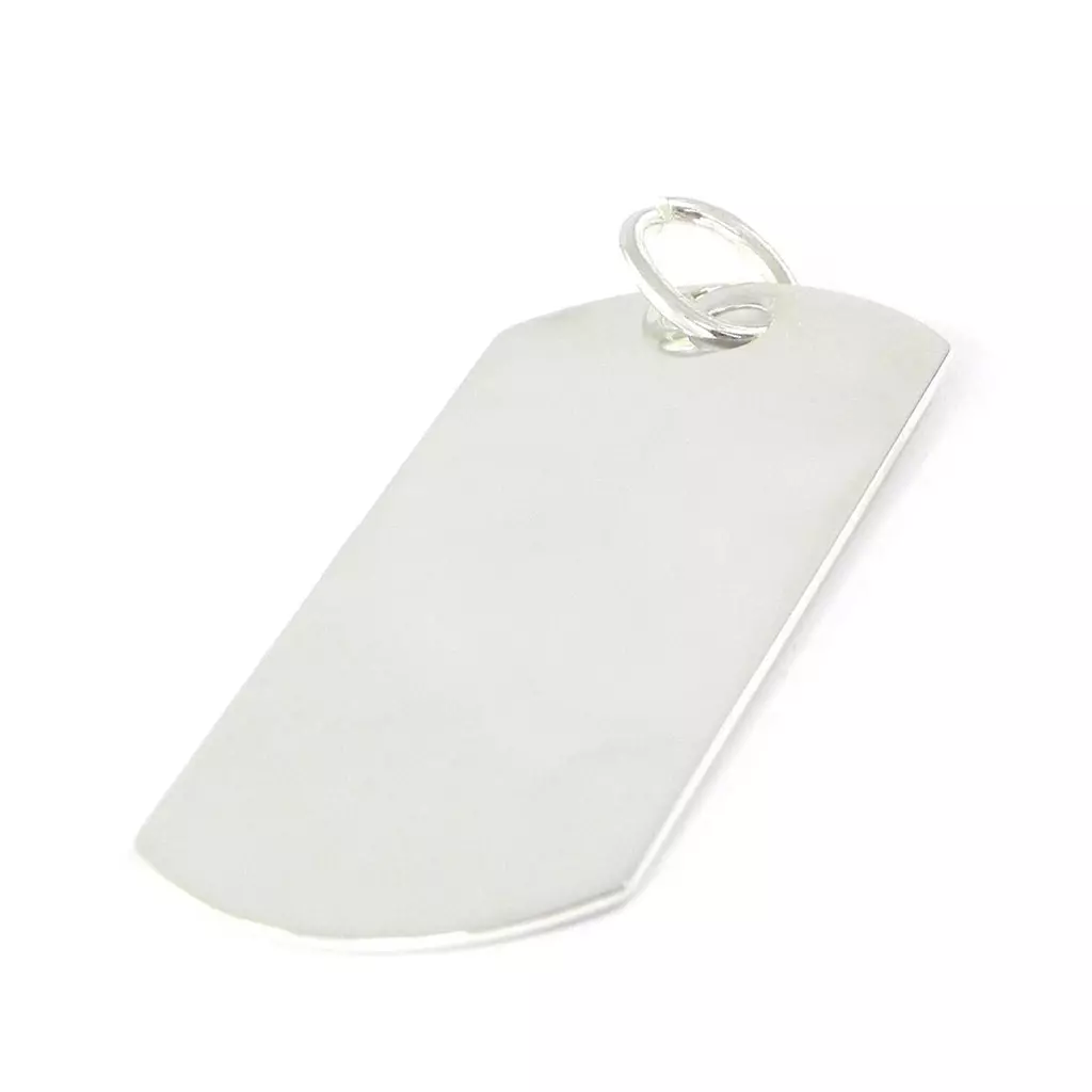 Les Trésors De Lily Médaille Argent 'Plaque Américaine' Vierge [F6304]