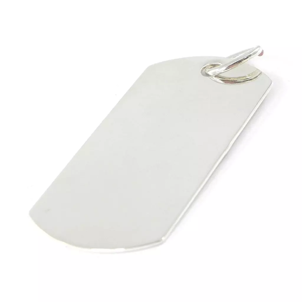 les trésors de lily Médaille Argent 'Plaque Américaine' Vierge [F6304]