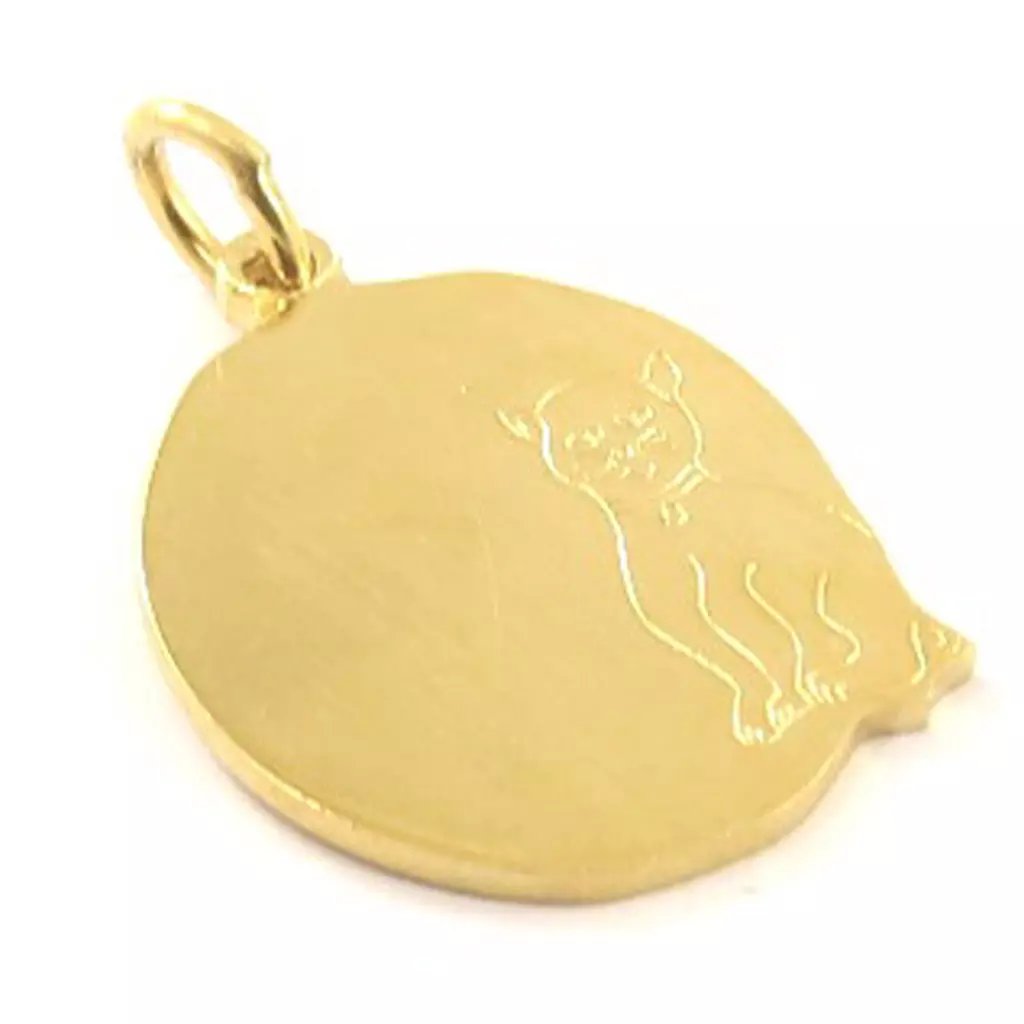 Les Trésors De Lily Médaille Plaqué Or 'Message Chat' Doré 15x17 Mm [C6893]
